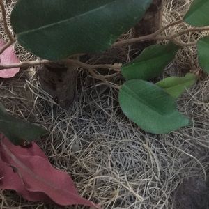 Meet your Posher, Kristy